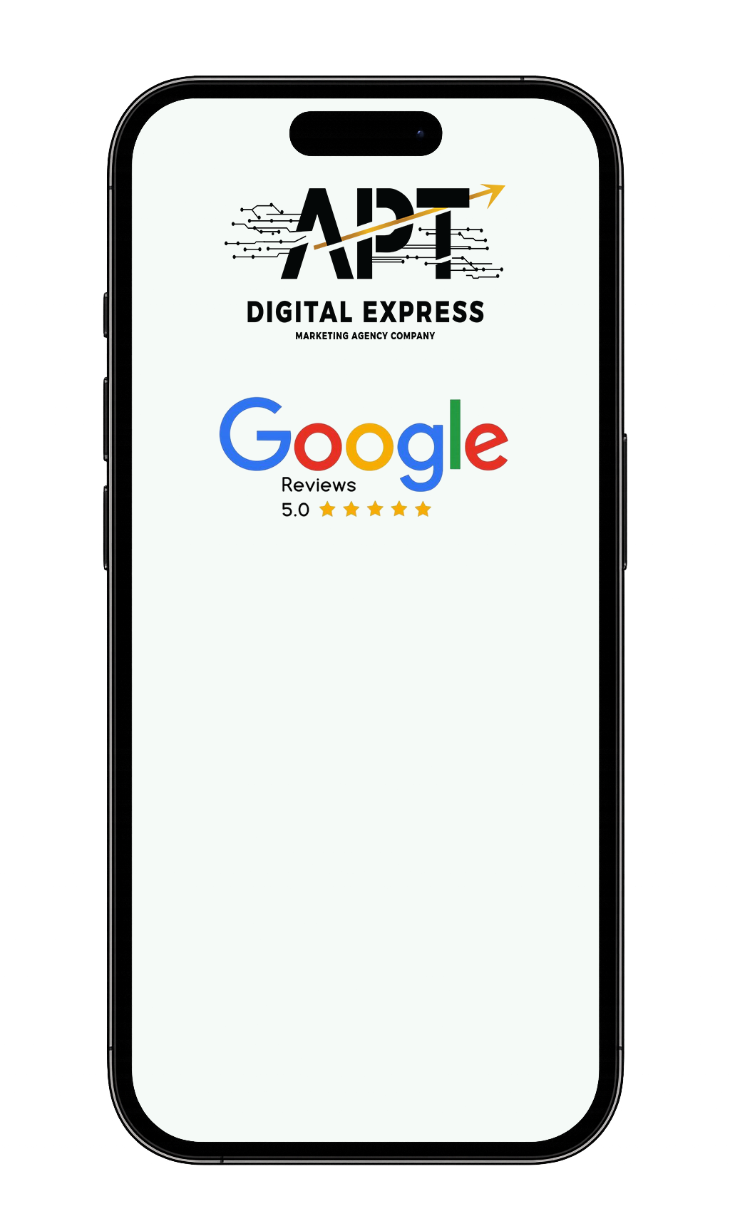 APT Digital Express Google Reviews